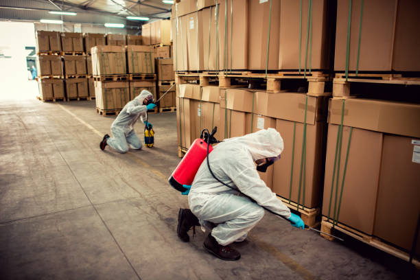Best Affordable Pest Control Services  in Navarre, OH