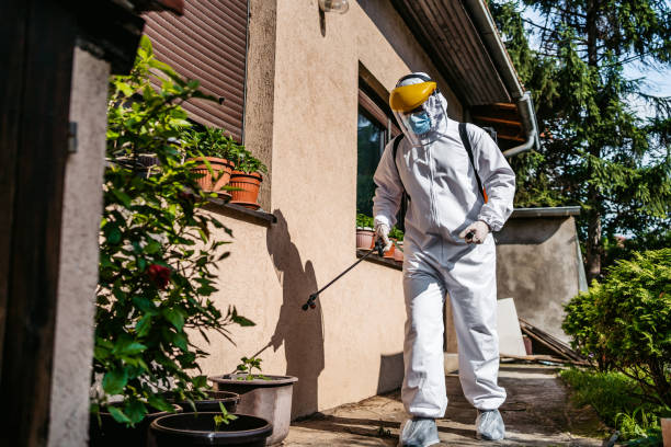 Best Wasp Removal Services  in Navarre, OH