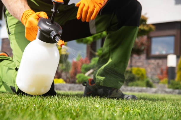 Best Affordable Pest Control Services  in Navarre, OH