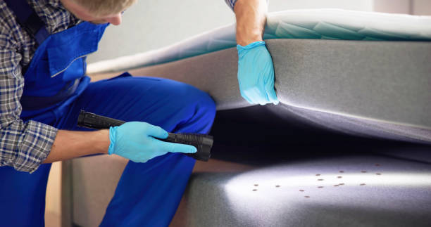 Best Pest Prevention Services  in Navarre, OH