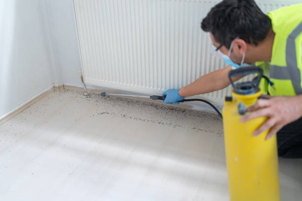 Best Emergency Pest Control  in Navarre, OH