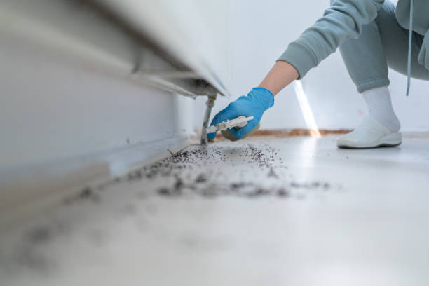 Best Mosquito Control Services  in Navarre, OH