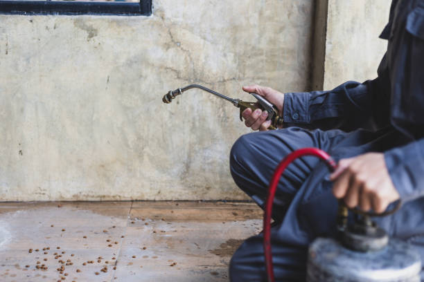 Pest Control Cost in Navarre, OH